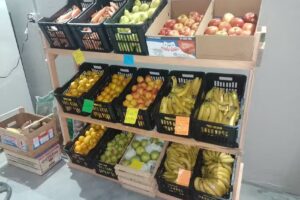 Verduleria “Green Roots”