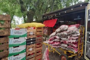 Verduler&iacute;a &ldquo;Griselda&rdquo;