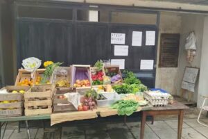 Verduler&iacute;a G&uuml;emez