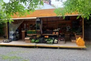 Verduler&iacute;a Humus