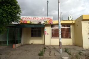 Verduler&iacute;a Jazmin