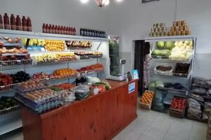 Verduler&iacute;a JEJENO