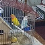 Verduler&iacute;a Jos&eacute;