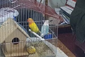 Verduler&iacute;a Jos&eacute;