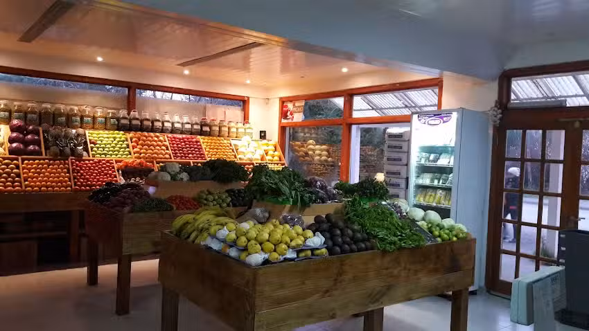 Verduler&iacute;a Josecito