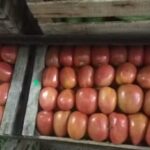 Verduler&iacute;a julio