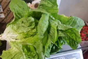 Verduler&iacute;a Keyla