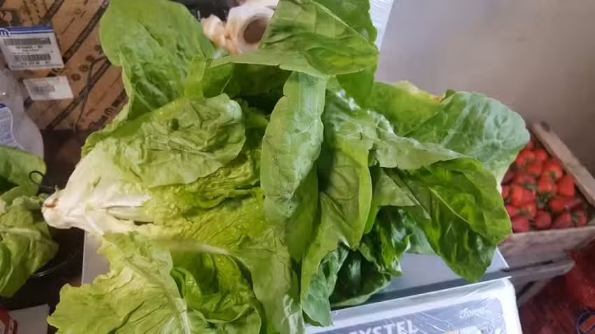 Verduler&iacute;a Keyla