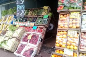 VERDULER&Iacute;A KIAR-FRUT