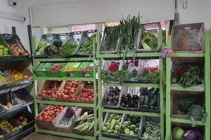 Verduler&iacute;a Kiwi