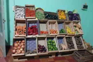 Verduler&iacute;a &ldquo;L&V&rdquo; La Puerta