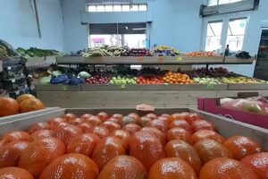 Verduler&iacute;a L y L