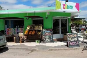 Verduler&iacute;a LA BOUTIQUE 2