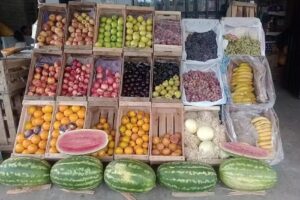 Verduler&iacute;a La calidad primero