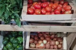 VERDULERIA LA DIAGONAL