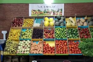 Verduler&iacute;a La Emilia