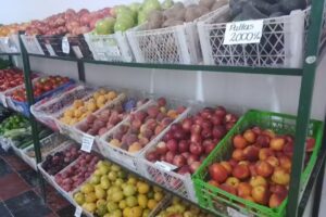 Verduler&iacute;a &ldquo;La escalerita&rdquo;