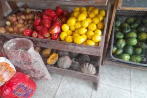 Verduler&iacute;a La Esquina