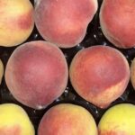 VERDULER&Iacute;A &ldquo;LA FAMILIA &ldquo;