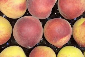 VERDULERÍA “LA FAMILIA “