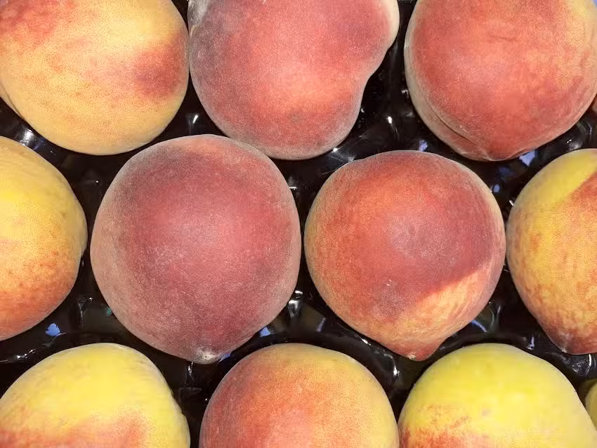 VERDULER&Iacute;A &ldquo;LA FAMILIA &ldquo;