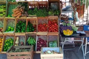 Verduler&iacute;a &ldquo;la familia&rdquo;