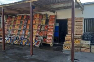 Verduler&iacute;a la familia