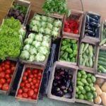 VERDULER&Iacute;A LA FERIA