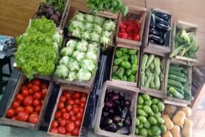 VERDULER&Iacute;A LA FERIA