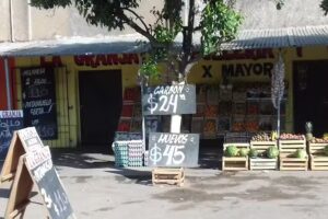 Verduler&iacute;a la Granja