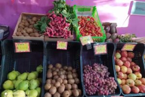 Verduler&iacute;a La Gringa