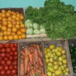 Verduler&iacute;a La Huerta