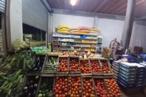 Verduler&iacute;a la lonja