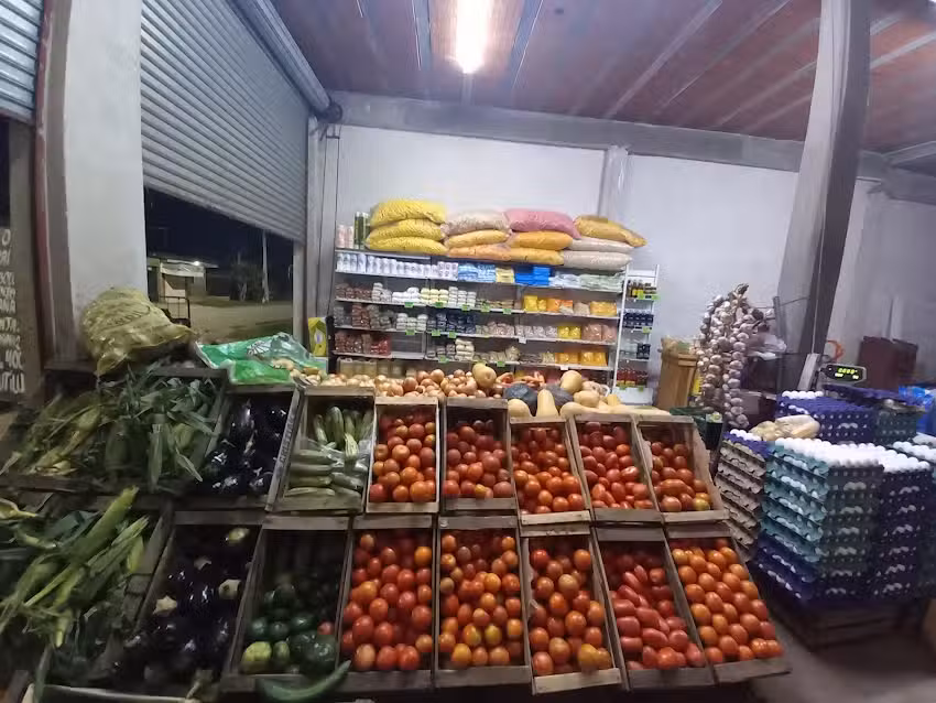 Verduler&iacute;a la lonja