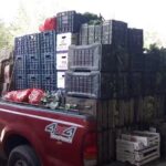 Verduleria La Media Naranja