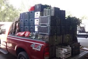 Verduleria La Media Naranja