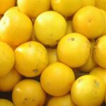 VERDULER&Iacute;A LA MEJOR