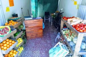 VERDULER&Iacute;A (LA N&deg;1)