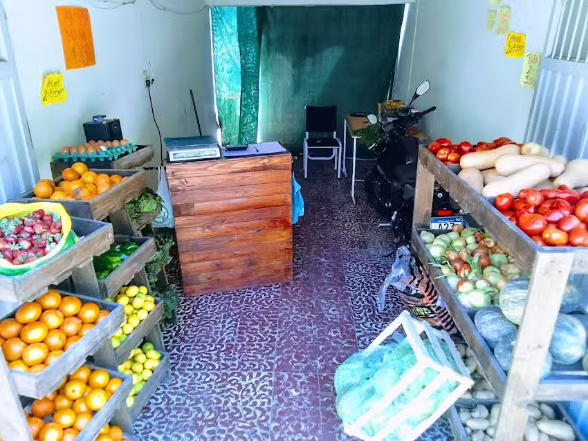 VERDULER&Iacute;A (LA N&deg;1)