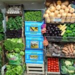 Verduler&iacute;a La Nueva