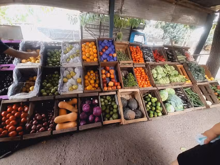 Verduleria la nueva