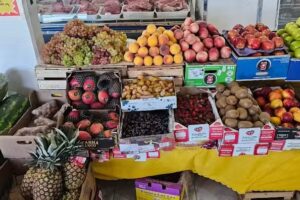 Verduler&iacute;a La Nueva Esperanza