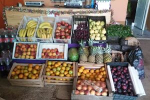 Verduleria la palmera