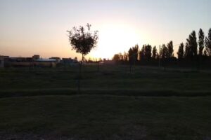 Verduler&iacute;a La Papa Loca