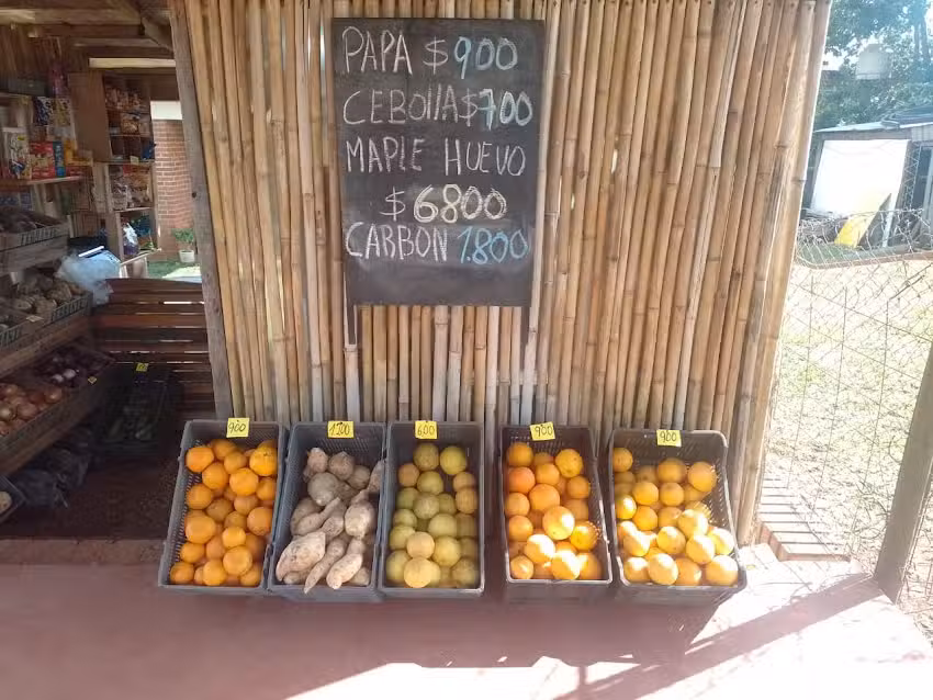 Verduler&iacute;a La Tacuara
