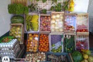 Verduler&iacute;a La300