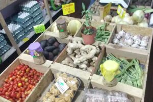 VERDULER&Iacute;A &ldquo;LARA&rdquo;