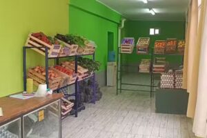 Verduler&iacute;a Las 45