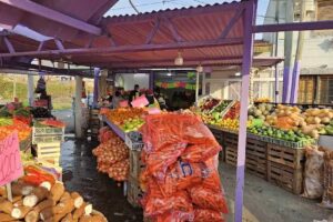 Verduleria las chicas