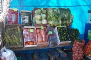 verduleria las georgias